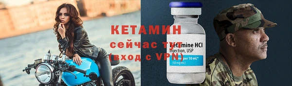 прущие грибы Лабытнанги
