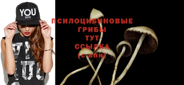 спиды Липки