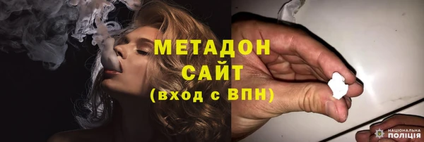 прущие грибы Лабытнанги