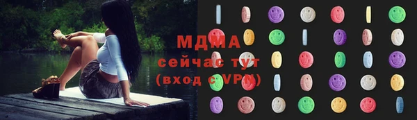 прущие грибы Лабытнанги