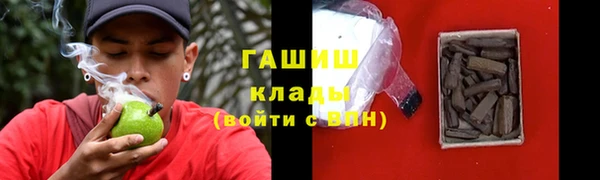 прущие грибы Лабытнанги