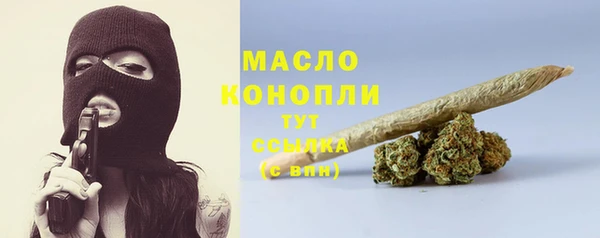 прущие грибы Лабытнанги
