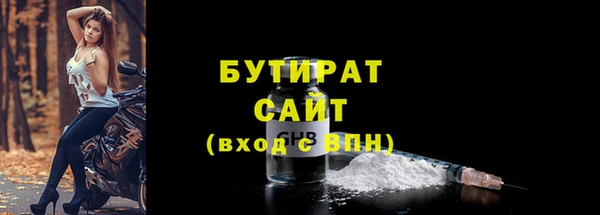 прущие грибы Лабытнанги