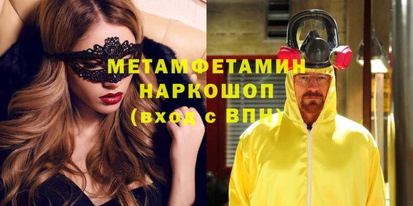 прущие грибы Лабытнанги