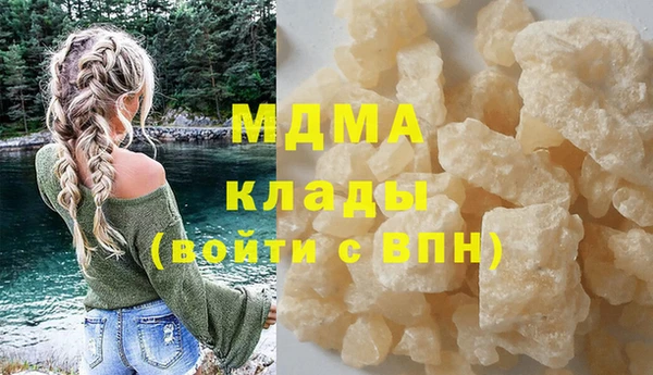 прущие грибы Лабытнанги