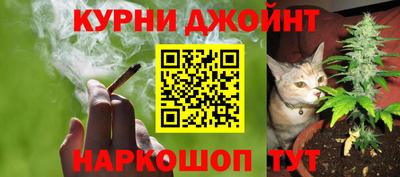 амф Донской